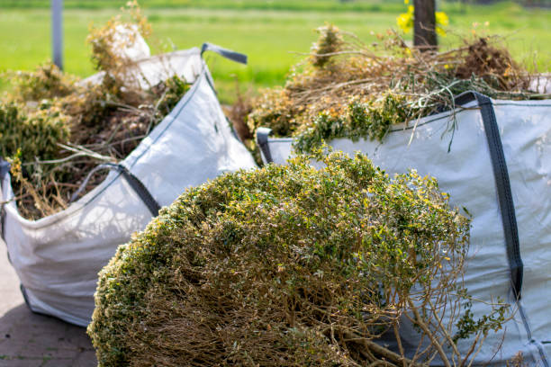 Demolition Debris Removal in Prescott Valley, AZ